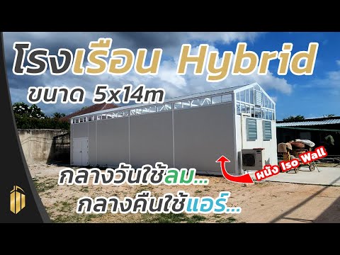 โรงเรือนHybridCannabisGreen