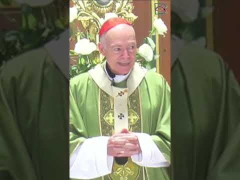 Cardenal Carlos Aguiar Retes .- la Palabra de Dios nos va a recordar la vocación de ser Profetas