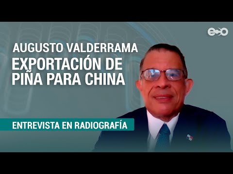 MIDA: Panamá exportará piña a China. Hoy saldrá primer contenedor aéreo | RadioGrafía