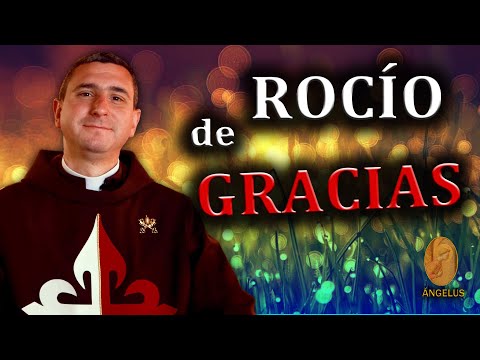 Repleta del ROCÍO de la GRACIA | P. José Bernardo Flórez EP - ÁNGELUS (17-oct-22)