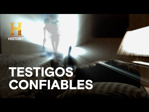 TESTIGOS CONFIABLES   - NO IDENTIFICADO
