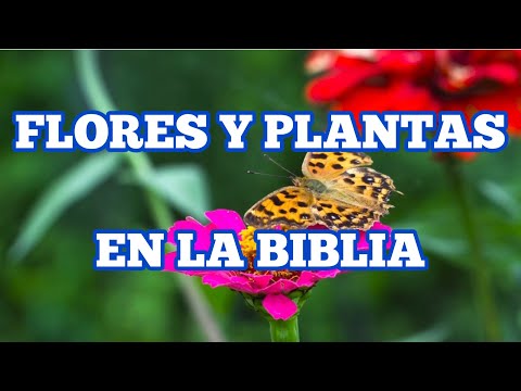 FLORES Y PLANTAS mencionadas en la BIBLIA