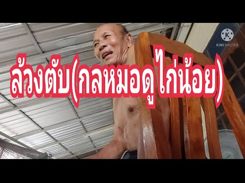 ล้วงตับ(กลหมอดูไก่น้อย) ล้วงตับ(กลหมอดูไก่น้อย)