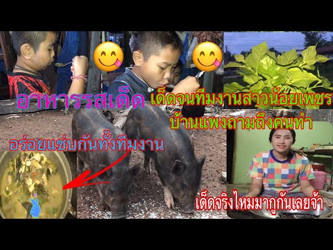 อาหารรสเด็ดจนทีมงานสาวน้อยเพชร อาหารรสเด็ดจนทีมงานสาวน้อยเพชร