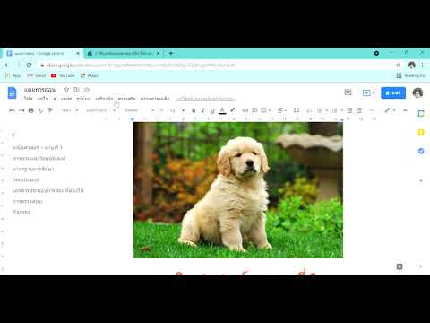 การใช้GoogleDocเบื้องต้น(กา