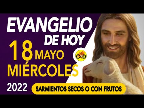 LECTURA del DÍA de HOY Miercoles 18 de Mayo de 2022  EVANGELIO de HOY | Católico al Día