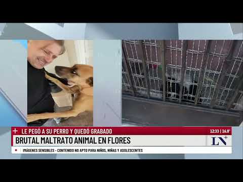 Brutal maltrato animal en Flores: le pegó a su perro y quedó grabado