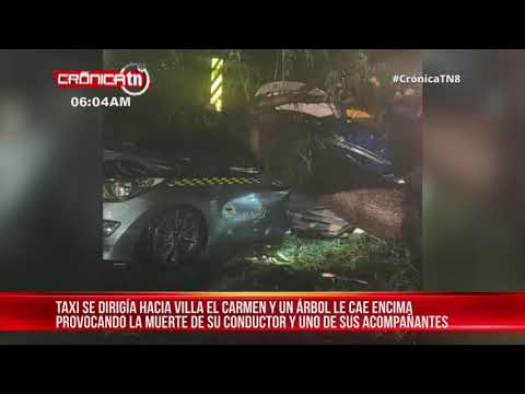 Árbol cae sobre un taxi y deja dos personas fallecidas en Managua – Nicaragua
