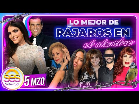 Ana Bárbara, Silvia Pinal, Cristian Castro, Juan Verduzco | Lo mejor de Pájaros 5/03/2024