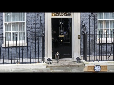 Qu'est-ce que le 10 Downing Street ?