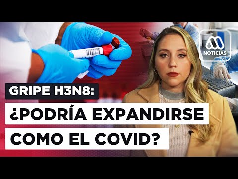 Gripe Aviar H3N8: ¿Podría ser peligrosa y expandirse como el Covid-19?