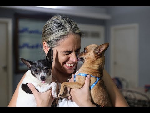 Info Martí | Las mascotas también se van de Cuba
