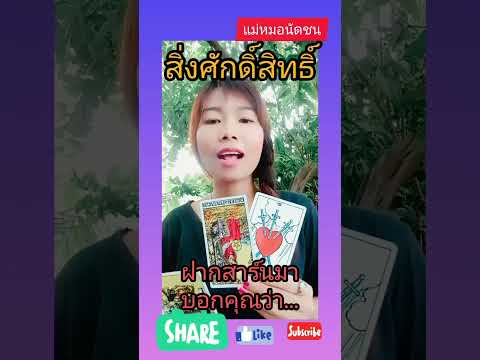 5แม่หมอนัดชนหมอดูไพ่ยิปซี