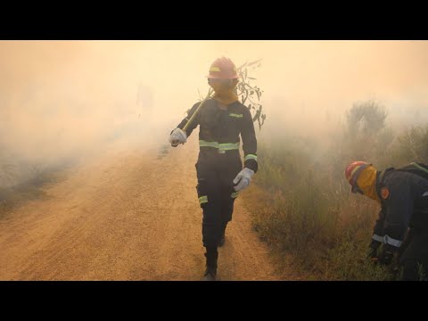 Bomberos combatió 1.829 incendios forestales entre el 1 de diciembre y el 20 de enero