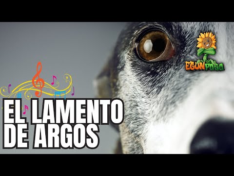 EL LAMENTO DE ARGOS | Egunpasa Music | Música creada por IA