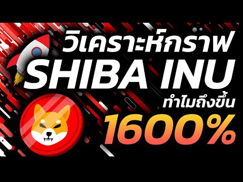 วิเคราะห์กราฟเหรียญShibainu