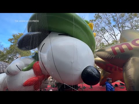 Handlers ready Thanksgiving parade balloons for Macy's New York parade