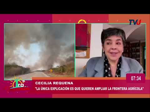 La oposición exige al gobierno a declarar emergencia nacional por los incendios