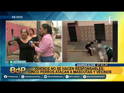 Cinco perros atacan a mascotas y vecinos en Barrios Altos