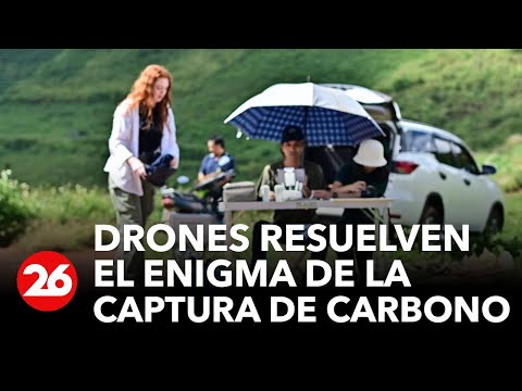 Drones ayudan a resolver el enigma de la captura de carbono en los bosques | #26Global
