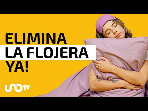 ¿Cómo eliminar la flojera y tener energía todo el día?