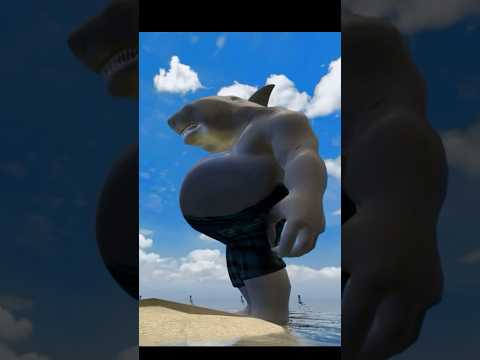 ฉลามป่องmidori