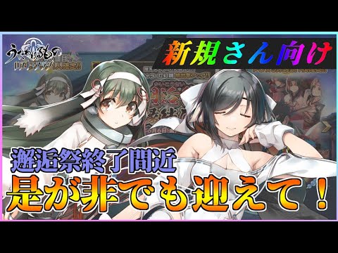 【うたわれるもの ロストフラグ】終了間近！ユカウラとミコトは全員迎えてほしい！【ロスフラ】