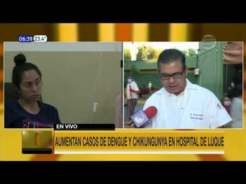 Aumentan casos de dengue y chikungunya en hospital de Luque