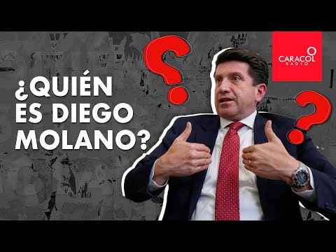 Diego Molano ¿candidato del uribismo a la alcaldía de Bogotá?