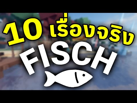 10เรื่องจริงในแมพFischที่หล