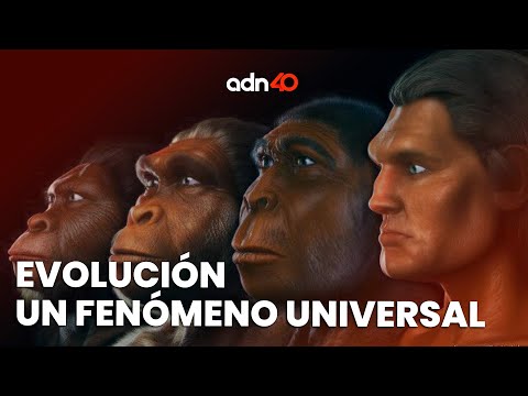 La evolución es un fenómeno universal