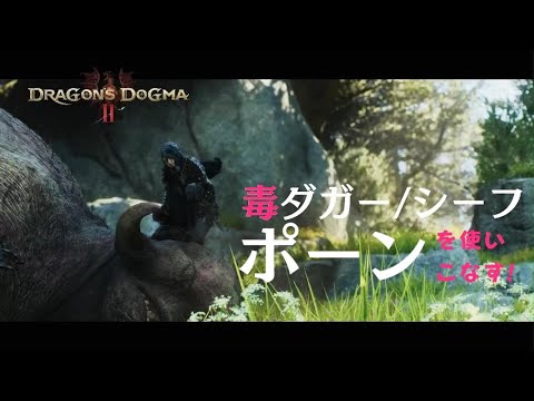 Dragoon's Dogma 2【シーフポーンを使いこなしたい!!】ドラゴンズドグマ2