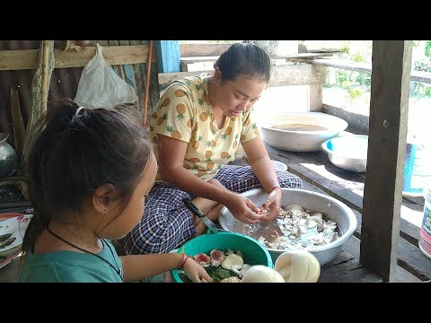 แกงเห็ดรอบเที่ยงมาๆกินนำกัน/สา แกงเห็ดรอบเที่ยงมาๆกินนำกัน/สา