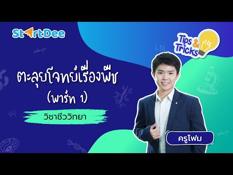 วิชาชีววิทยา-มัธยมปลาย-|-ตะลุย วิชาชีววิทยา-มัธยมปลาย-|-ตะลุย