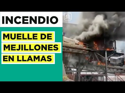 Incendio en el puerto de Mejillones: Fuego se habría iniciado en una correa transportadora