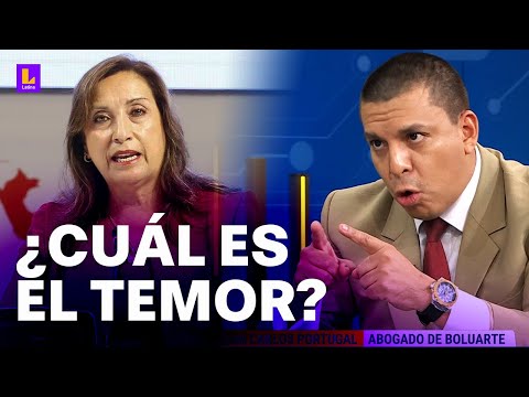 Abogado de Dina Boluarte: No hay silencio que dure 100 años ni presidenta que lo resista