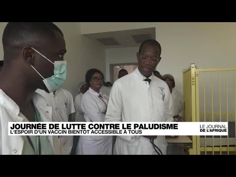 Lutte contre le paludisme : l'espoir d'un vaccin bientôt accessible à tous • FRANCE 24