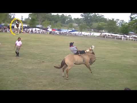 lo mejor de conquistadores  #caballos #jinete #charreada #jaripeo #rodeo#Cowboy #horse videos
