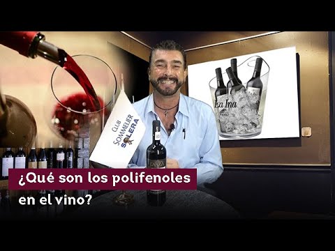 ¿Qué son los polifenoles en el vino