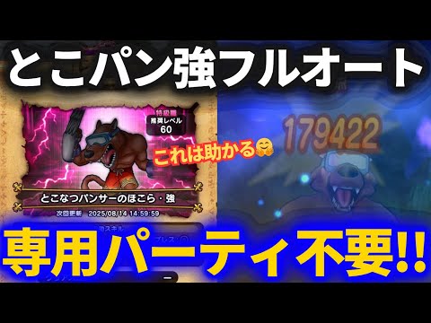【ドラクエウォーク】専用パーティ不要！！とこなつパンサー強を楽勝フルオート！！【ほこら】