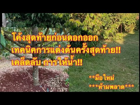 Ep3.การจัดการต้นและเทคนิคการให