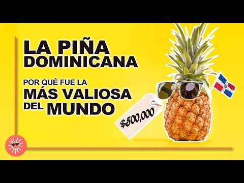 La piña de Santo Domingo: por qué fue la fruta más valiosa del mundo