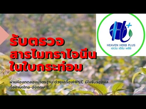 เกร็ดความรู้เรื่องกระท่อมเสียบ