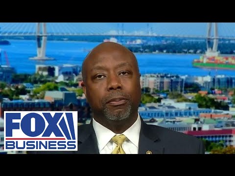 Tim Scott: Protesters, police coming together is 'what makes America great'