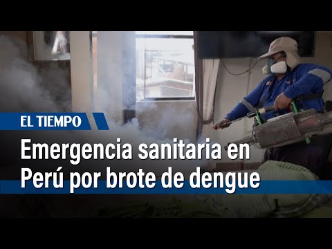 Perú declara estado de emergencia sanitaria por brote de dengue | El Tiempo
