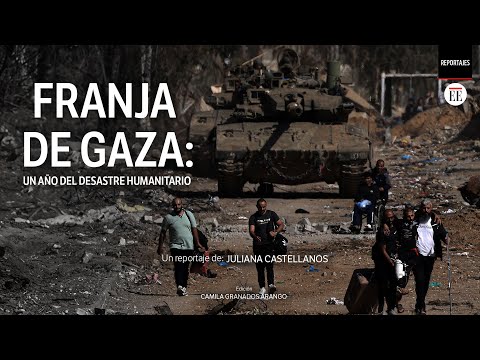 Gaza: así trabajan las ONG en medio de un desastre humanitario  | El Espectador