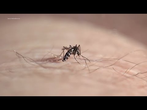 Texas announced first human case of West Nile Virus this year