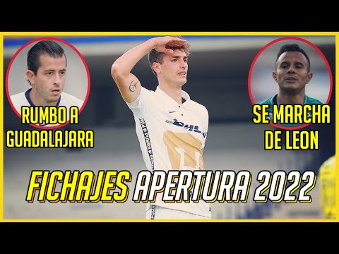 ¡DINNENO y MOZO Ofrecidos a ESTOS Clubes! |  ¡FICHAJES CONFIRMADOS APERTURA 2022!