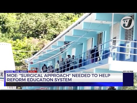 MOE: 'Surgical Approach' Needed to Help Reform Education System | TVJ News
