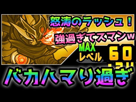 超本能ハヤブサがバカハマりし過ぎてボス秒殺w  にゃんこ大戦争